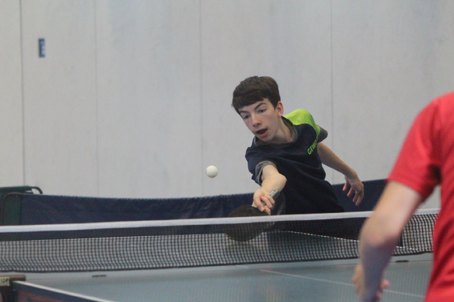 Jakob Sternberg (TuS Celle)